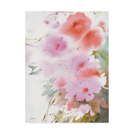Sheila Golden 'Cascade In Pinks' Canvas Art,24x32